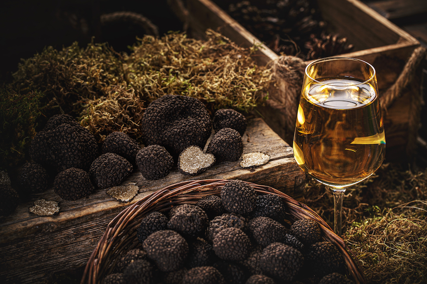 Summer black truffle how to pair it with wine? Blog Giordano Vini