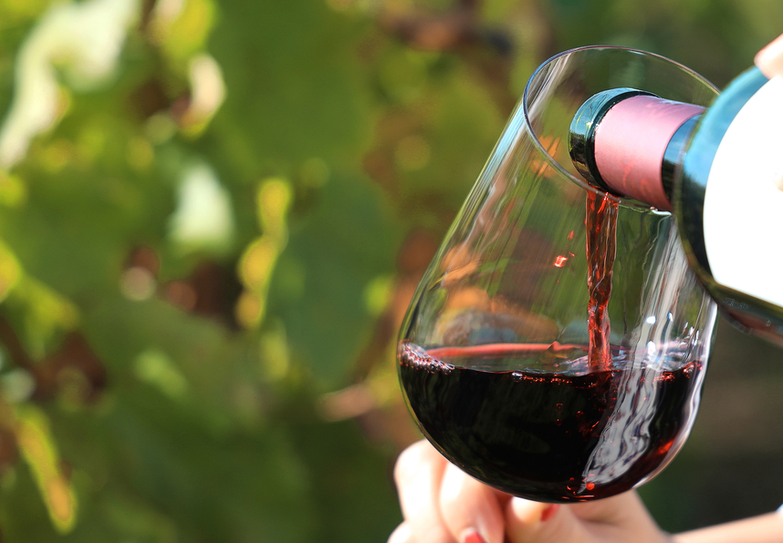 Syrah wine: characteristics and pairings | Blog | Giordano Vini